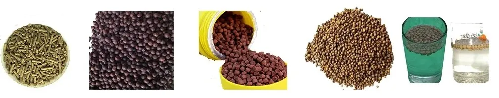 20251017105647 20251017105647